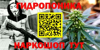 бошки Будённовск
