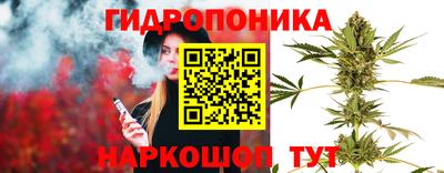 шишки Бузулук