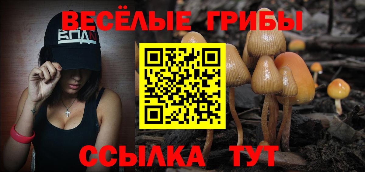 Стерлитамак  Галлюциногенные грибы Psilocybine cubensis  Вход с VPN 